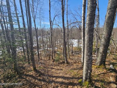 48176 S Dolly Varden Dr, Talkeetna, AK, 99676