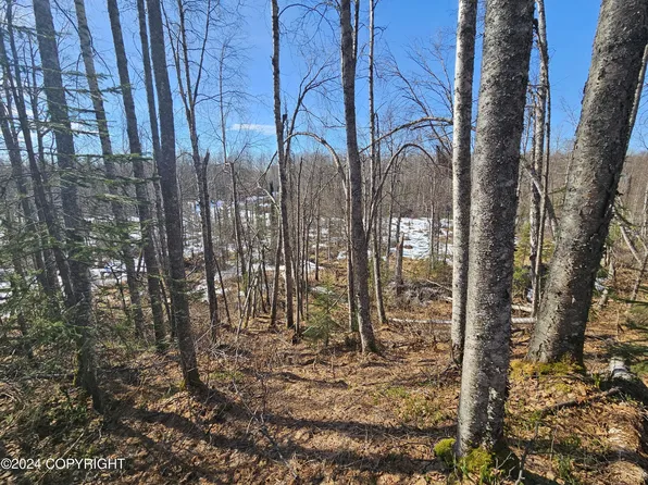 48176 S Dolly Varden Dr, Talkeetna, AK 99676