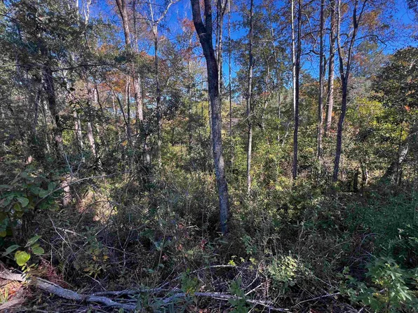 LOT 82 Harbor Rd, Andalusia, AL 36421
