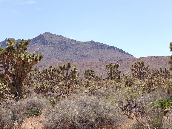 2nd image of 18209 N Scenic Drive