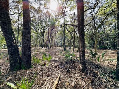 0 NW 128th Ln, Chiefland, FL, 32626