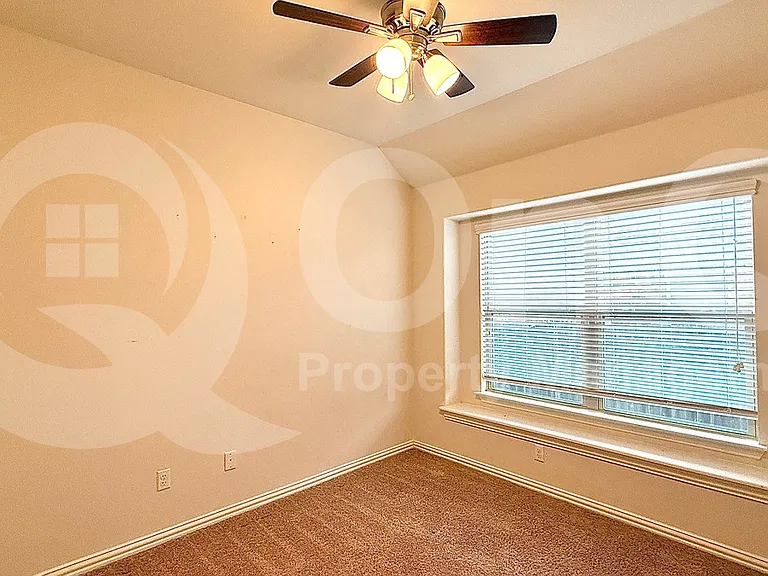 100 Lily Turf Cv — Photo 18