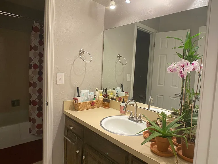 309 Curts Dr — Photo 7