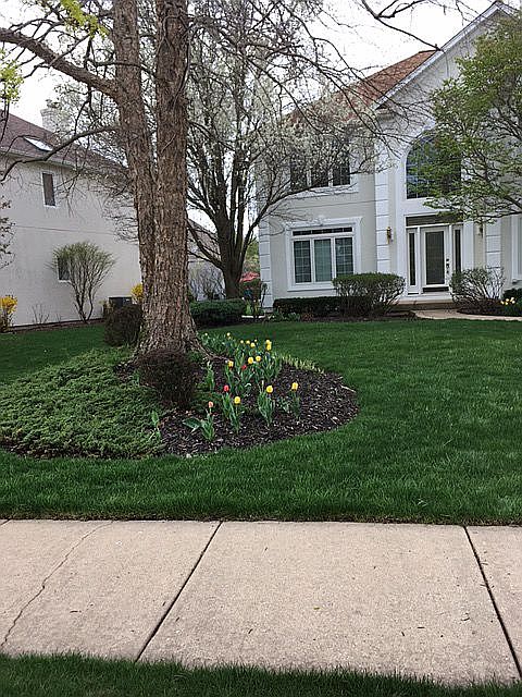 2nd image of 3147 Aviara Ct