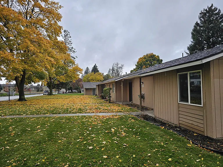Regal Village — Photo 8
