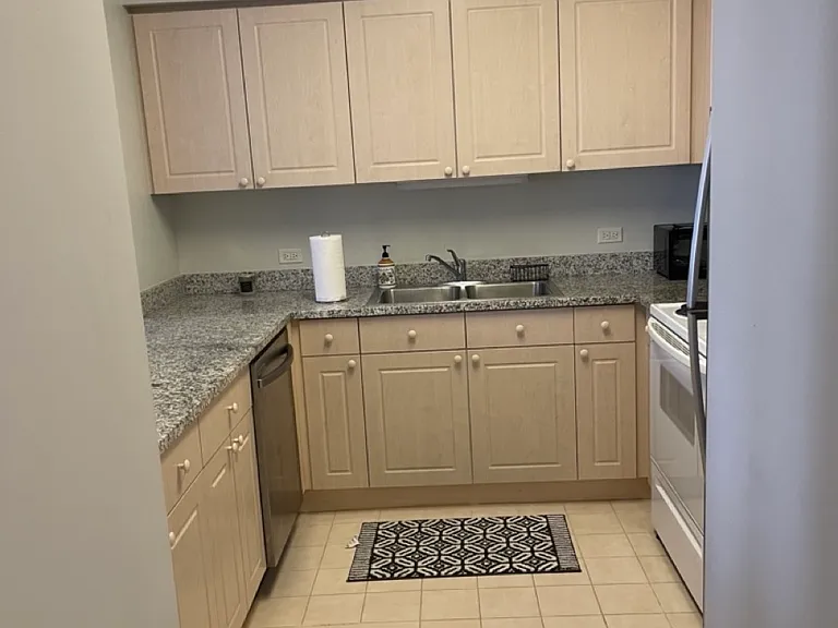 512 N McClurg Ct #3002 — Photo 4