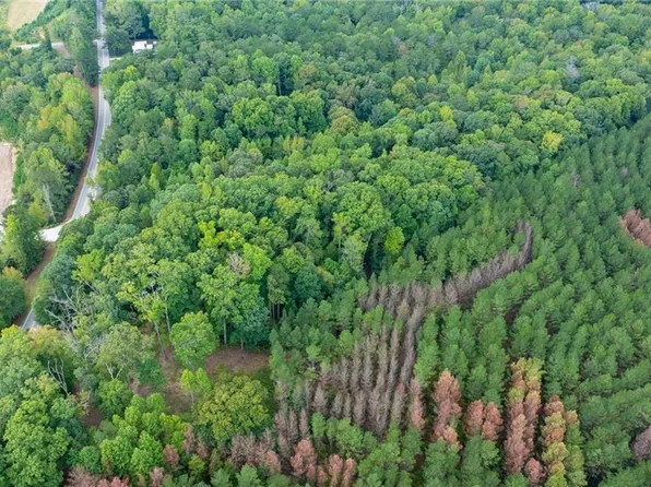 0B Highway 5 #B, Whitesburg, GA 30185