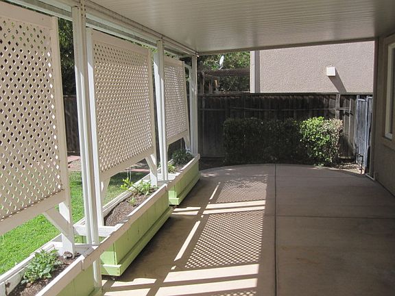 Backyard 1