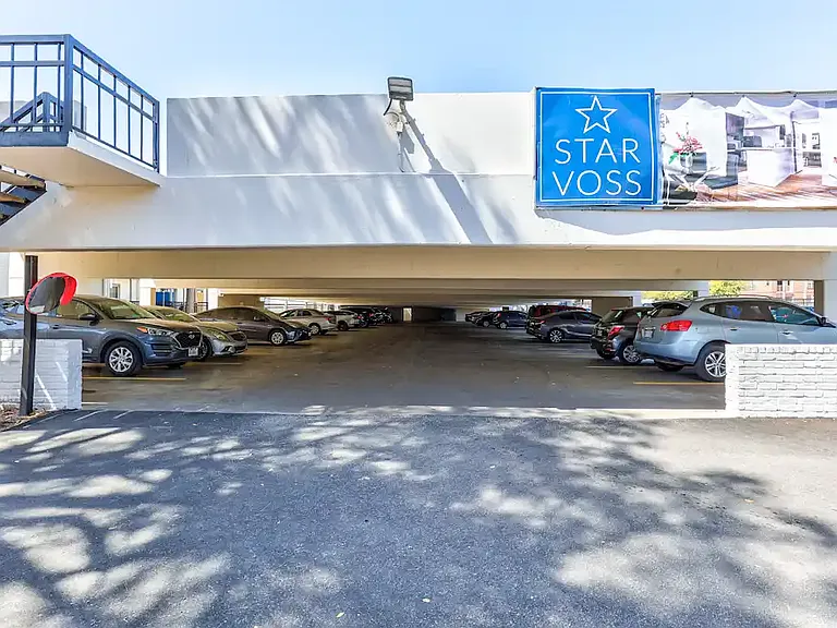 Star Voss — Photo 46