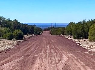 County Road 8307 Lot 100, Concho, AZ 85924