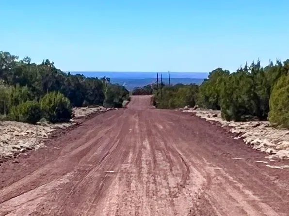 County Road 8307 Lot 100, Concho, AZ 85924