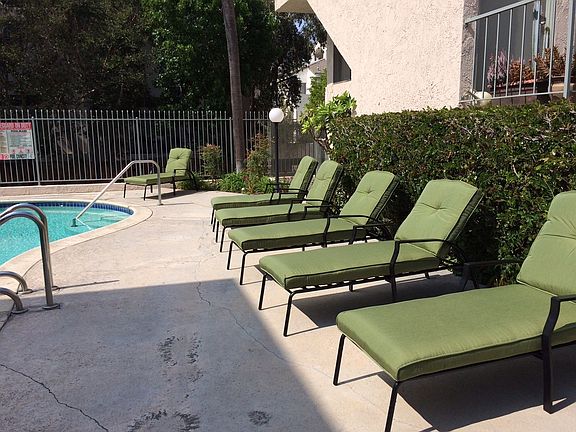 Pool & New lounge chairs