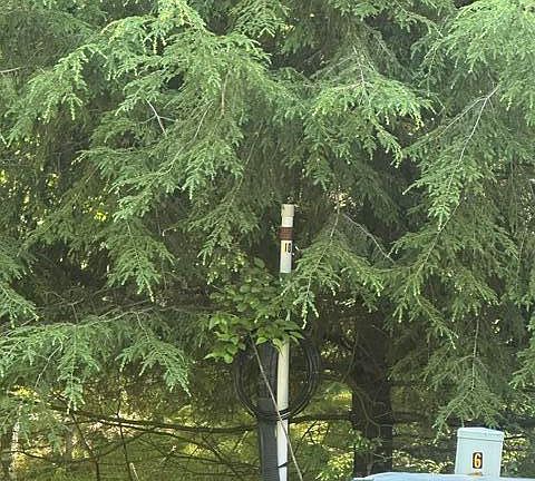 3rd image of 10 Jaskiewicz Way