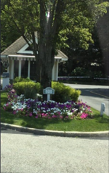 1st image of 14 Tall Tulip Ln