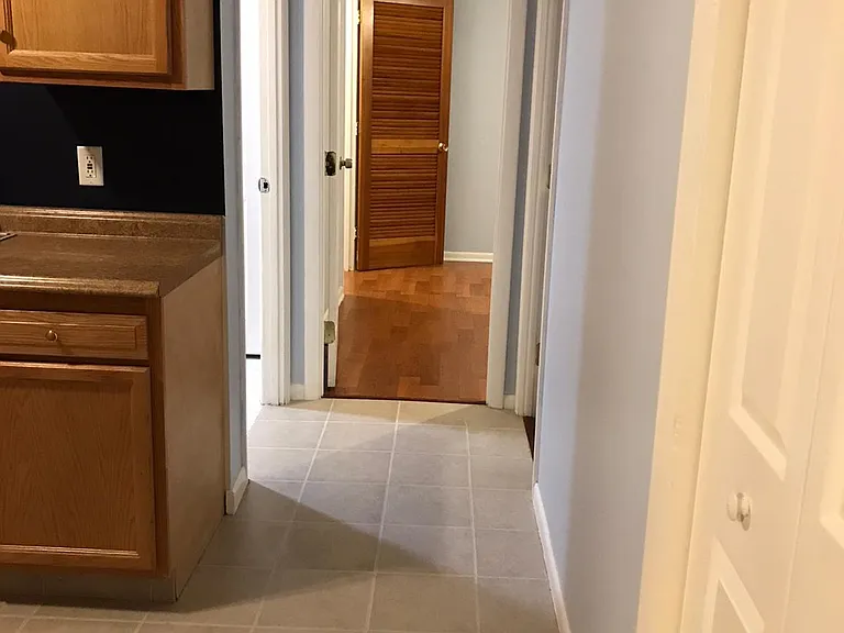 Kitchen hall and pantry door.