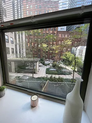 Rented by NY Living Solutions | media 6