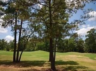 132 S Copperknoll Cir, Spring, TX 77381