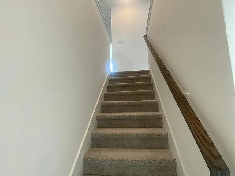 12638 Blue Catfish Ln — Photo 24
