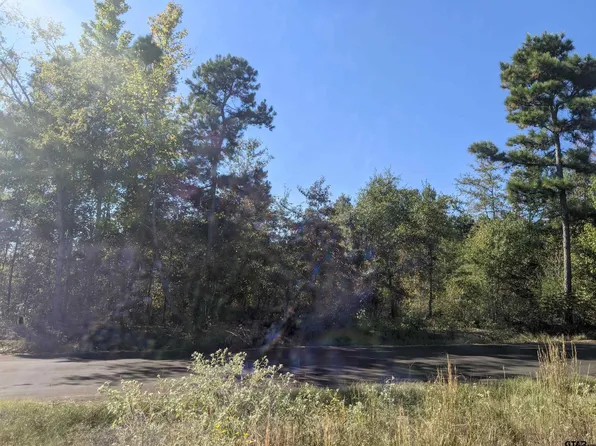 County Road 246 S, Tyler, TX 75705