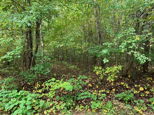 0 Hoder Rd, New Buffalo, MI 49117