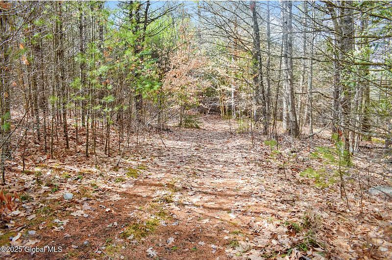 3rd image of L11 Mountain Meadows Road