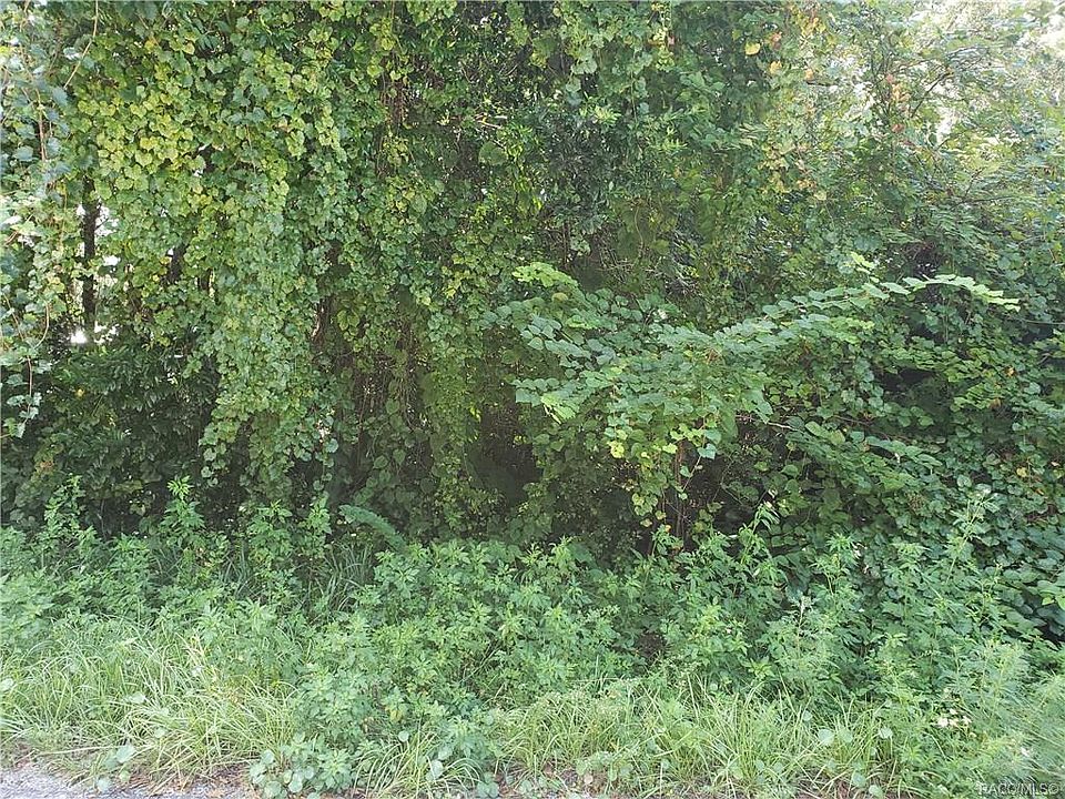 1st image of 6382 W Tangerine Ln