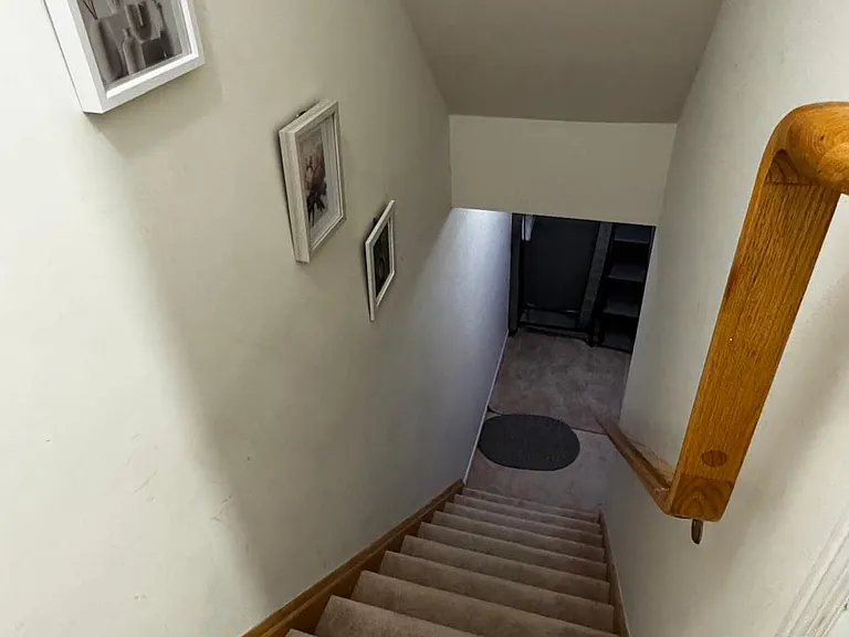 409 Aspendale Cres #BSMNT-ROOM — Photo 3