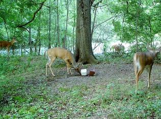 704 Old Milner Rd, Barnesville, GA 30204