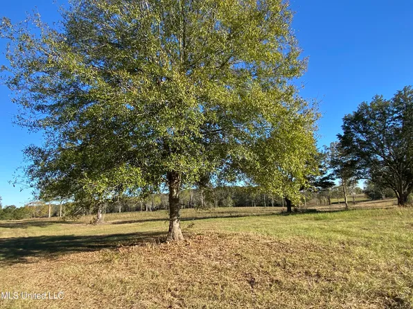 Carey Byrd Rd Lot 5, Carriere, MS 39426