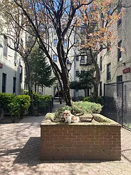 Rented by Tree House Realty of Queens Corp