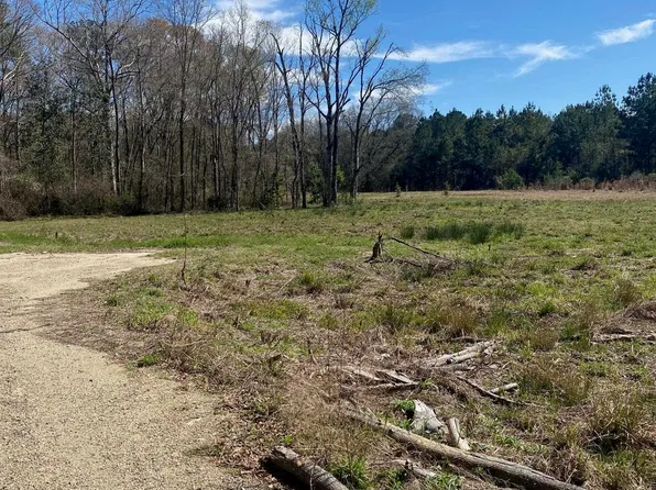 B 1 A 3 Spring House Dr, Greenwell Springs, LA 70739