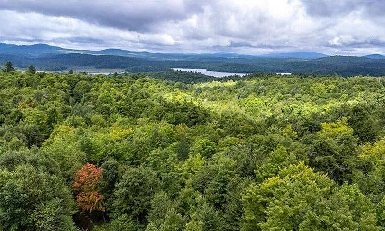 63 Palisades Pkwy