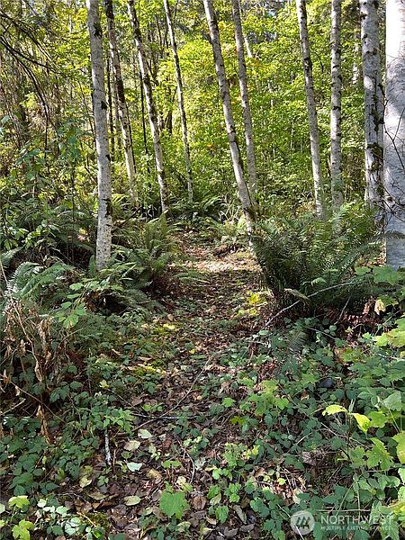 5th image of 0 Clear Creek Road