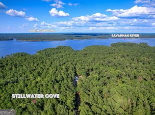 1309 Shimmering Water Cv, Tignall, GA 30668