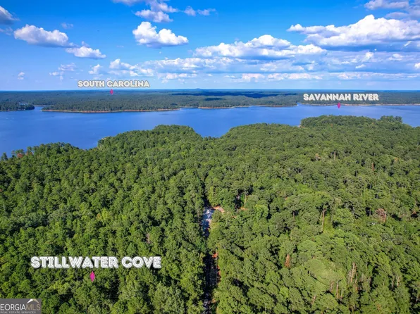 1309 Shimmering Water Cv, Tignall, GA 30668