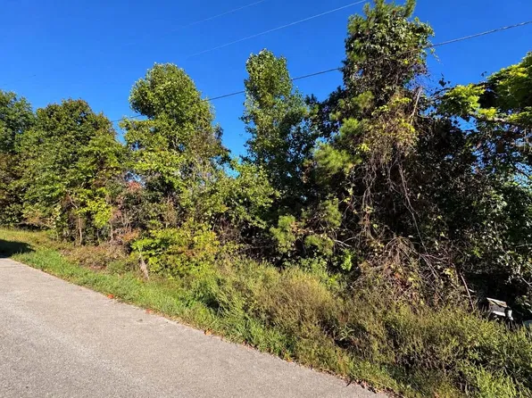 0 Turkey Ridge Rd Lot 40, Wellington, KY 40387