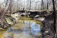 5th image of 13223 County Road 136