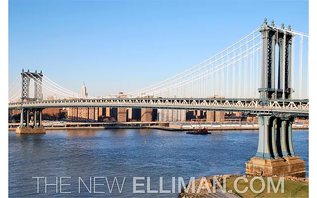 Rented by Douglas Elliman | media 2