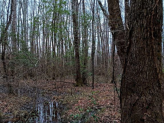 5th image of 0 State Highway 19