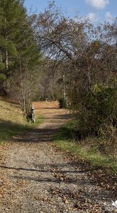 11 New Home Rd, Marshall, NC, 28753