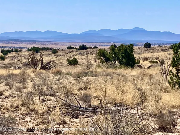 LOT 207 Tin Cup Rd, Carrizozo, NM 88301