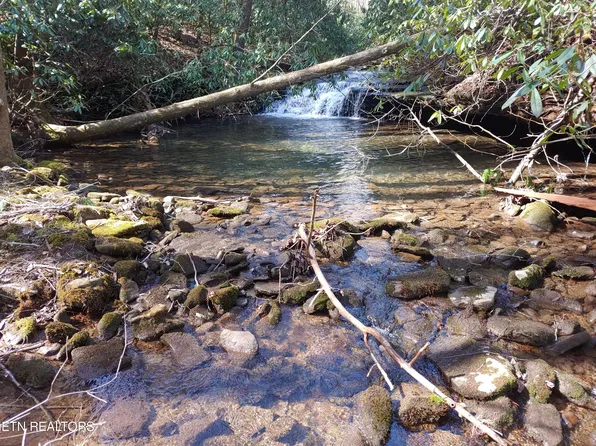 Smith Mountain Rd, Rockwood, TN 37854