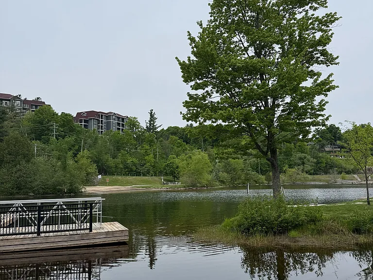 142 Ecclestone Dr #15 — Photo 23