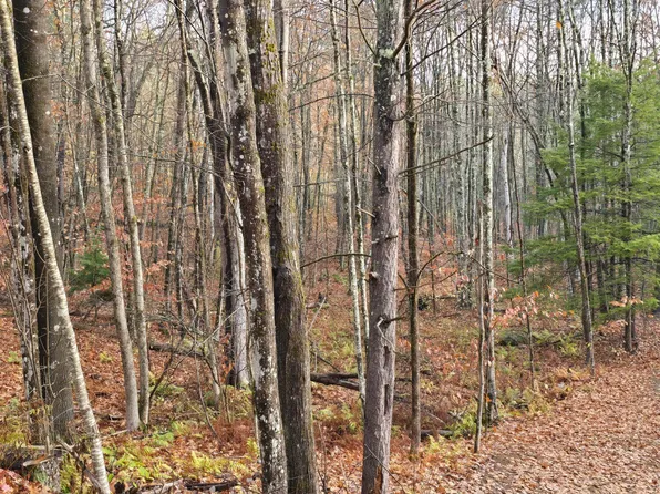 83 Burnt Hill Road, Chichester, NH 03258