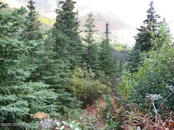 L1 W River Dr, Eagle River, AK 99577