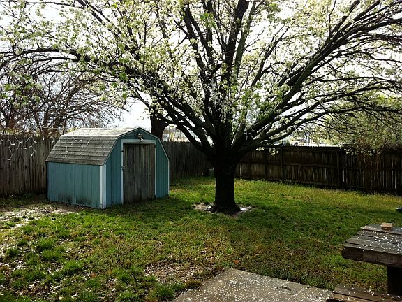 Shed in the back yard