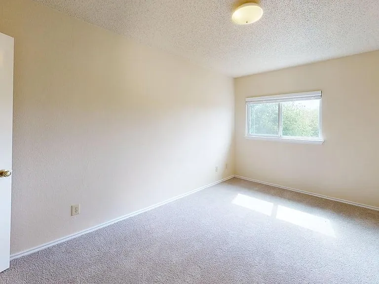 2166 Mossy Creek Dr — Photo 12