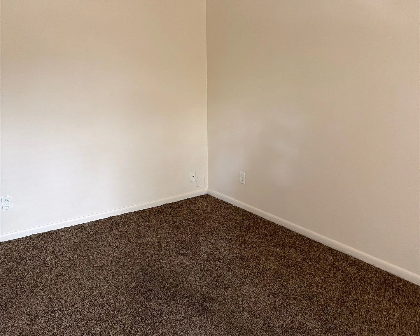 1 bed, 586 sqft, $720 — Photo 2