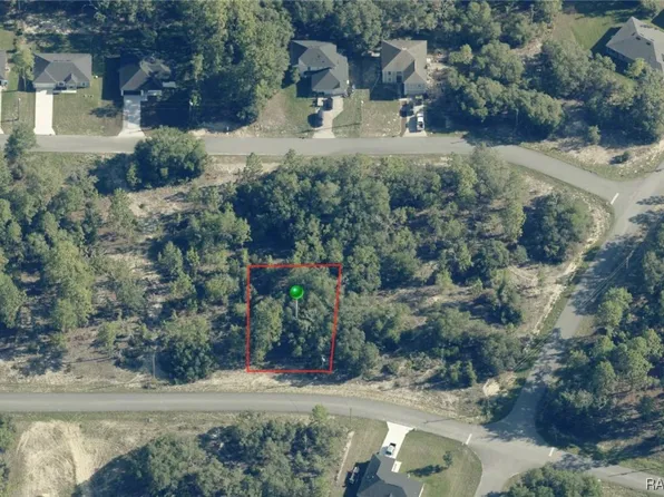 2799 W Gaucho Dr, Citrus Springs, FL 34433