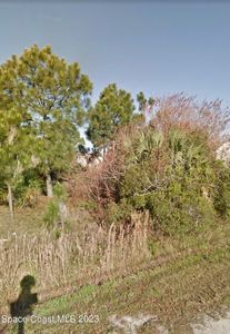 3342 Fitzpatrick Ave SW, Palm Bay, FL, 32908